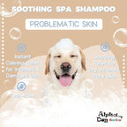 All Natural Anti Itch Oatmeal Shampoo + Conditioner for Dogs | Hypoallergenic Soothing Relief for Dry, Itchy, Bitten or Allergy Damaged Skin (Pack of 2)