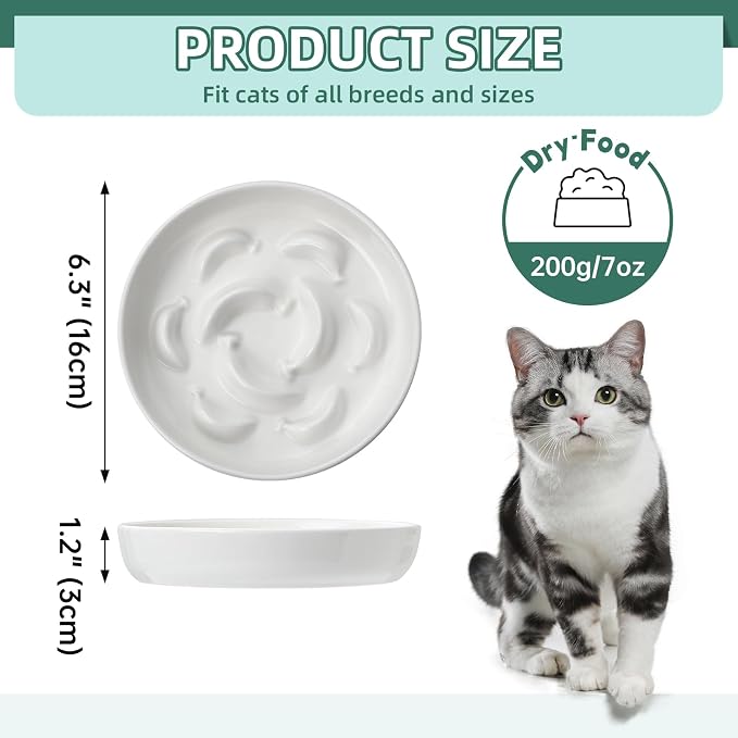 Ceramic Slow Feeder Cat Bowl, 6.3'' Wide Whisker Friendly Cat Puzzle Feeder | Slow Eating 5x, Anti Vomit Shallow Slow Eating Cat Dish for Dry and Wet Food, Microwave and Dishwasher Safe, 6.3" X 1.2"