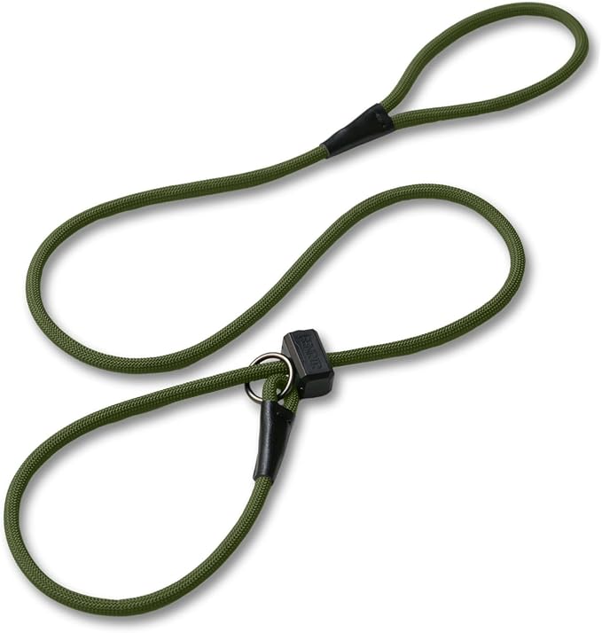 Fenrir Slip Leash 1.4m Professional Dog Training Lead to Stop Pulling, Perfect for Walks, Easy to Use, Spring Loaded Stopper, Light Weight and Durable (Green)
