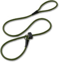 Fenrir Slip Leash 1.4m Professional Dog Training Lead to Stop Pulling, Perfect for Walks, Easy to Use, Spring Loaded Stopper, Light Weight and Durable (Green)