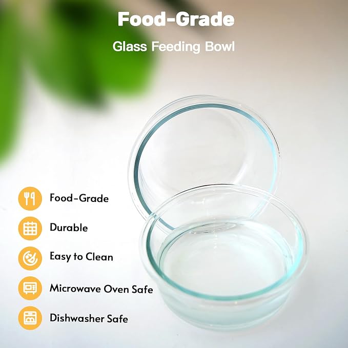 Elevated Cat Bowls, 15° Tilted Cat Food Bowl | Includes 3 Glass bowls, Bamboo Board and Metal Stand with Anti-Slip Design for Stable Feeding of Cats and Puppies