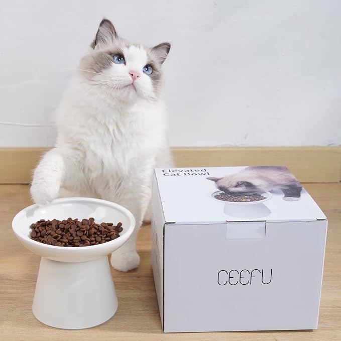 CEEFU 2-Pack Extra Wide Elevated Ceramic 6.2" Shallow Cat Food Bowls | Cat Dish for Whisker Fatigue Relief, 5" Height for Easy Feeding, Durable Raised, White