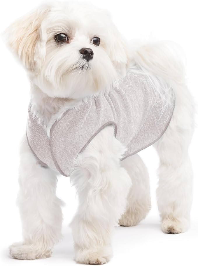 Goldpaw Dog Sun Shirt with UV Protection - Lightweight, Cooling Sun Protection Clothing for Dogs - Reduce Heat Absorption - Pet Clothes Made in the USA - Machine Washable - Size 8 - Pebble Grey