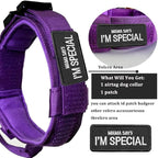 Tactical Dog Collar and Leash Set with Airtag Holder Waterproof Dog Airtag Collar with Handle Adjustable Heavy Duty Dog Collar Leash Set(DeepPurple，M