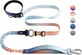 Roses&Poetry Hands Free Dog Leash for Medium Large Dogs Heavy Duty, No Pull Bungee Dog Running Waist Leash for Walking Training with Car Seatbelt 4-6FT