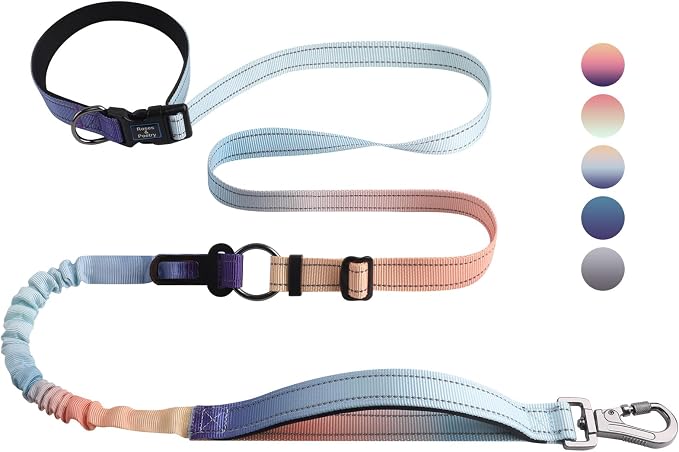 Roses&Poetry Hands Free Dog Leash for Medium Large Dogs Heavy Duty, No Pull Bungee Dog Running Waist Leash for Walking Training with Car Seatbelt 4-6FT
