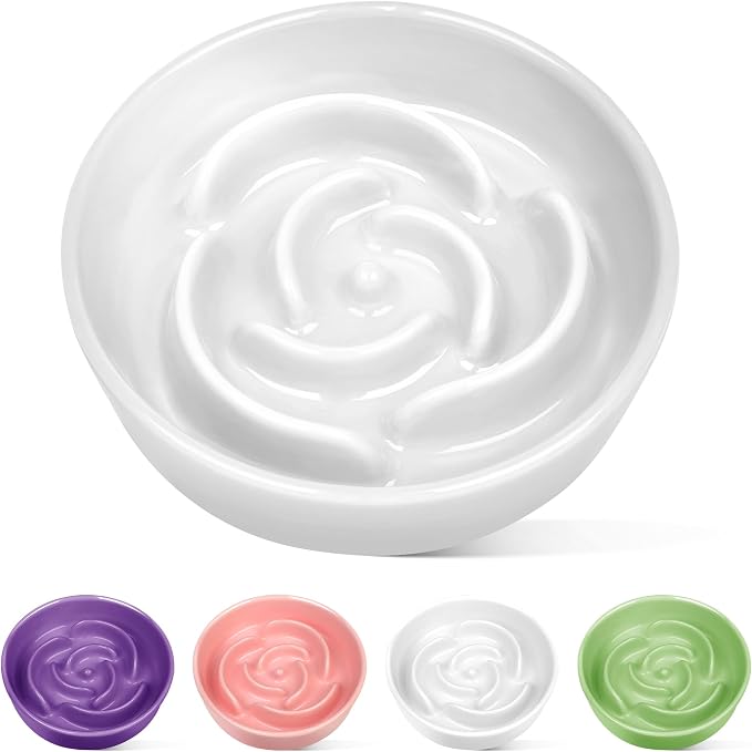 TRUVIC Ceramic Slow Feeder Dog Bowls Small Breed, 0.6 Cup Slow Feeder Cat Bowls for Fast Eaters, Ceramic Dog Food Dish no Black Chin, Puzzle Bowl for Small Dogs and Cats, White