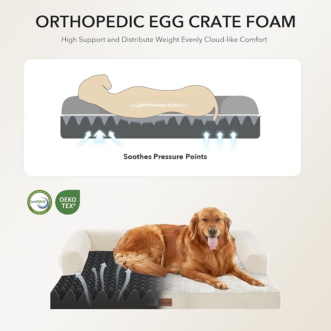 Waterproof Orthopedic Dog Bed for Medium Dogs, 35x22in, Beige | Orthopedic Foam Relieves Joint Pressure, Bolsters Supports Head And Neck, Washable Cover, Non-Slip Bottom