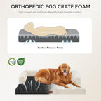 Waterproof Orthopedic Dog Bed for Medium Dogs, 35x22in, Beige | Orthopedic Foam Relieves Joint Pressure, Bolsters Supports Head And Neck, Washable Cover, Non-Slip Bottom