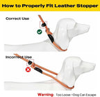 Fida Durable Slip Lead Dog Leash, 6 FT x 3/8" Heavy Duty Comfortable Strong Rope Slip Lead for Small Dogs and Puppies, No Pull Pet Training Leash with Highly Reflective (3/8", Orange)
