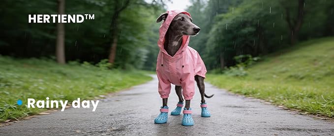 Dog Shoes for Hot Pavement - Comfortable Paw Protection for Medium & Large Dogs, Adjustable Strap & Non-Slip, Easy-Clean, Outdoor Sports Boots, Dog Booties for Summer Rain (Coastal Blue, M)