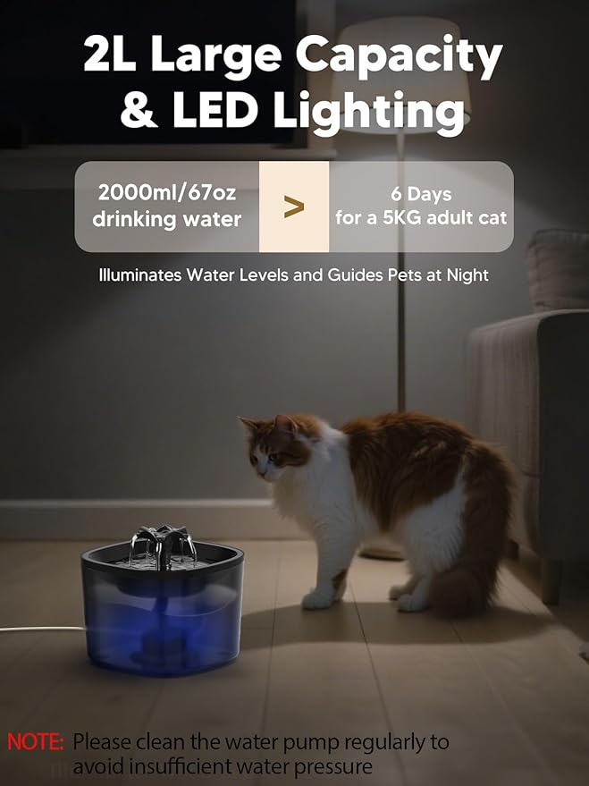 Automatic Cat Feeder and Water Fountain, 5L/20 Cups Timed Cat Dry Food Dispenser, 10s Meal Call, 20 Portions 6 Meals Per Day, 2L Cats Fountains for Drinking with Filter, Pet Feeder for Dog White