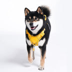 Pawaii No Pull Dog Harness with Pet ID Tag, Reflective Vest | Built for safer walks with a QR Pet ID Tag, front no pull clip, reflective trim, control handle and breathable mesh lining