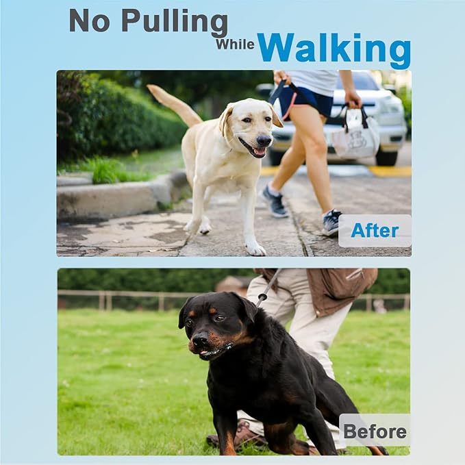 Prong Collar for Dogs, Dog Training Collar for Small Medium Large Dogs | Pinch Collar, Adjustable Size, No Pull, Quick Release Buckle, Hook 360° Swivel, High Quality, 2 Extra Link and 20 Rubber Cap
