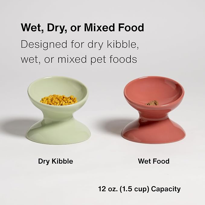 Raised Cat Food Bowl, Tilted Bowl for Cats, Dogs, 12 oz, Seafoam