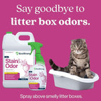 Eco Strong Cat Stain and Odor Remover| Enzyme Urine Odor Neutralizer - Stain Remover for Carpet, Litter Boxes, Bedding, and Laundry [160 Fl Oz Bundle]