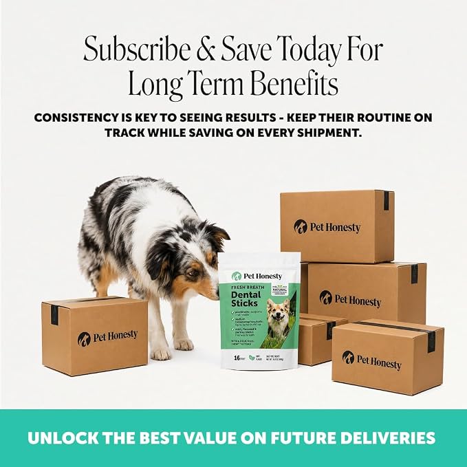 Dog Dental Treats Fresh Breath Sticks - Plaque and Tartar Remover for Dogs Teeth Cleaning Chews for Bright Teeth - Dog Dental Sticks for Oral Care, Gum Health + Bad Breath Treatment (Mint, 16 Ct)