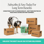 Dog Dental Treats Fresh Breath Sticks - Plaque and Tartar Remover for Dogs Teeth Cleaning Chews for Bright Teeth - Dog Dental Sticks for Oral Care, Gum Health + Bad Breath Treatment (Mint, 16 Ct)