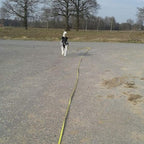 Waterproof Long Dog Leash Recall Training Lead 5 10 16 30 50 Foot for Large Medium Small Dogs Outdoor Training Walking Playing and Camping