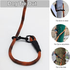 BTINESFUL Dog Tie Out Long Tether Rope Dog Lead for Yard 8/12/20/30/50/75ft | Check Cord Training Dog Line for Large Medium Small Dogs Outdoor Playing, Camping, or Backyard (12ft, Orange Black)