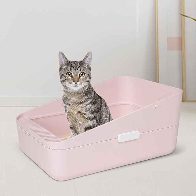 Sfozstra Small Cat Litter Box: Removable Tray for Cats Under 8 lbs | Kitten Friendly / Low Entry Access / Easy Cleaning / Compact Space Saving / Indoor Apartment Use