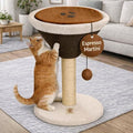 CasaMila Espresso Martini Cat Scratcher 20", Cat Scratching Post, Cat Scratching Tree, Cat Post, Scratching Post for Indoor Cats, Modern Cat Tree with Bed, Martini Cat Tree, Cute Novelty Cat Post