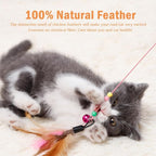 20 Pack Cat Feather Toy Wand, Interactive Pet Kitten Chaser Teaser Wire Wand with Bell Beads for Cat Exercise Play Fun Gifts - Wholesale
