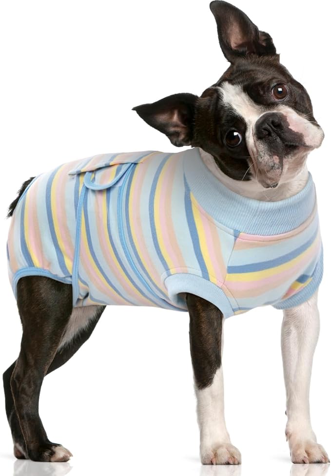 FUAMEY Dog Surgery Recovery Suit, Surgical Suit for Dogs Onesie for Surgery | Cone Alternative after Surgery, Abdominal Wound Protector, Onesie for Dogs after Surgery Spay Neuter, Blue Yellow Stripes M