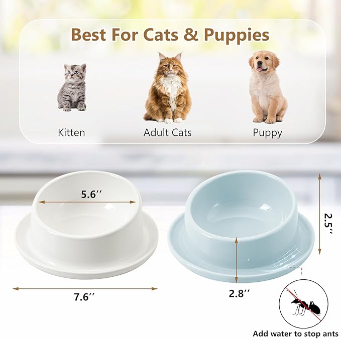 Ant Proof No Spill Ceramic Cat Food Bowls,15° Tilted Neck Support,Non-Slip Base,Easy Clean Pet Water Dishes for Cat and Small Dog Indoor or Outdoor Use(1 Pack)