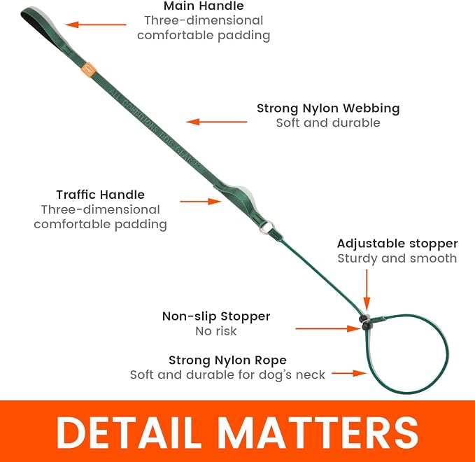 HowGo Slip Lead Dog Leash, 2 Spring-Loaded Slide Stopper (MintGreen 5.0FT) | Double Paddle Handles Heavy-Duty Training Lead Collar,Lightweight Aluminum Nylon,No-Pull Walking,All Breeds, Dog Trainer