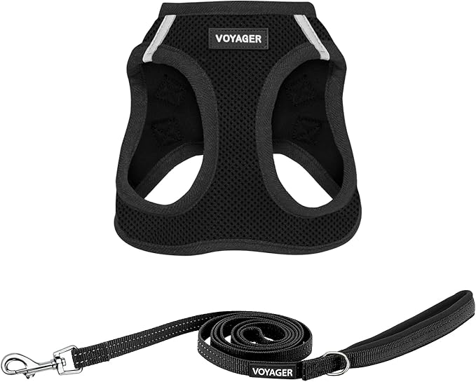 Best Pet Supplies Voyager Step-in Air All Weather Mesh Harness and Reflective Dog 5ft Leash Combo with Neoprene Handle, for Small, Medium and Large Breed Puppies - Black, X-Large