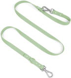 Wisedog Waterproof Dog Leash, Sage Green, 5 ft × 3/4 in | Adjustable, 2 Metal Swivel Hooks, Easy to Clean, For Small, Medium, Large breed Dogs