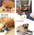 Sedioso Dog Toys Set, Large Dogs Toy, Stuffed Animal Dog Chew Toy, Soft Plush Dogs Toys Pack for Small. Middle, Large Breed(3-Pack, Birds)