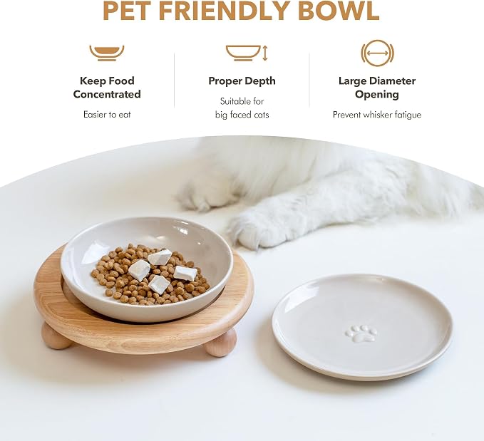 Havniva Elevated Cat Bowls, Cat Food and Water Bowl Set, Ceramic Cat Bowl | Raised Cat Food Bowls, Whisker Friendly, 5.6” Shallow Cat Dishes + 6” Wide Cat Plates, Non-Slip Wood Stand, Two Heights