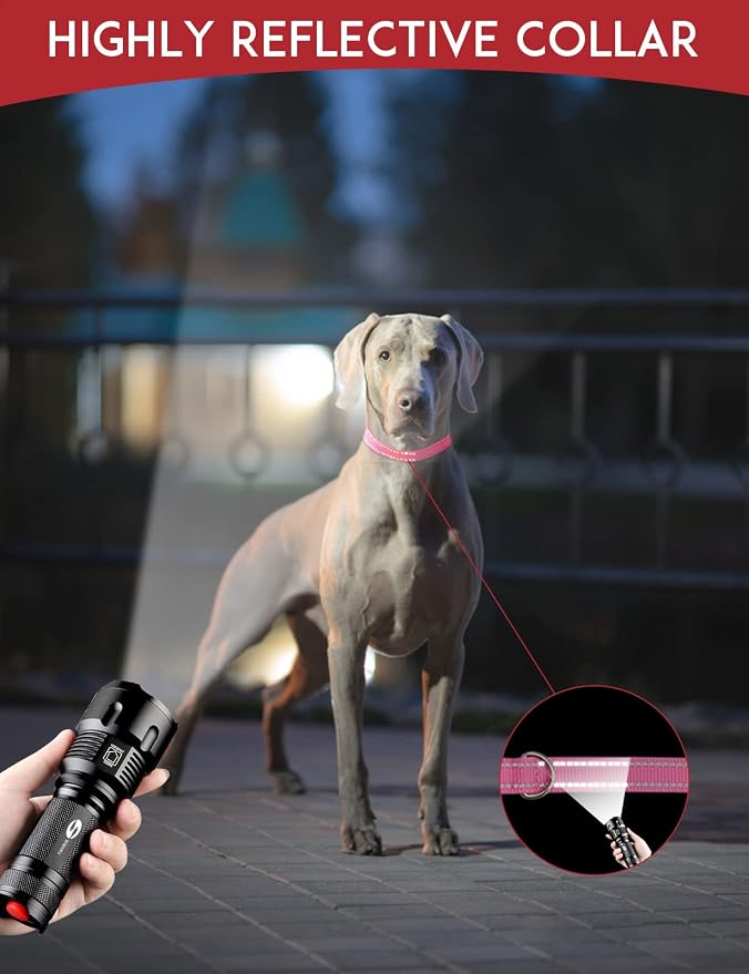 Dog Shock Collar Replacement Strap 2-Pack, Reflective & Adjustable 3/4" Dog Collar for Training - Compatible with Jugbow, PetSafe, Bousnic, Garmin Replacement Collar Strap - 2 Pack