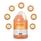 Ginger Lily Farms Club & Fitness Moisturizing Shampoo for All Hair Types, 100% Vegan & Cruelty-Free, Citrus Scent, 1 Gallon Refill (Pack of 4)