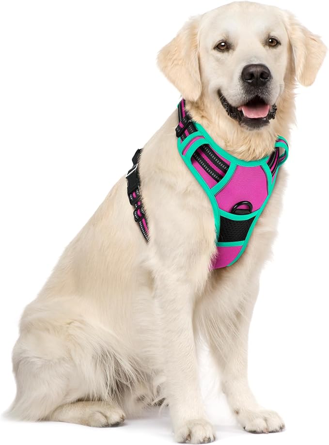rabbitgoo Dog Harness, No Pull for Large Dogs with 2 Leash Clips, Pet Vest | No Choke with Handle, Adjustable Soft Padded, Reflective, Easy Control for Walking, Hot Pink & Turquoise, X-Large
