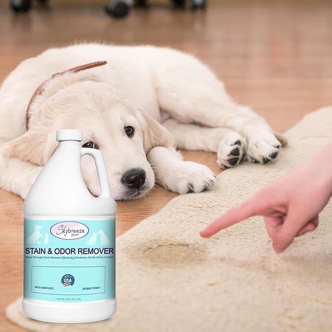 Pet Stain Odor eliminator - Super-concentrated Enzyme cleaner - Sky breeze plus - Extra Strong Odor and stain remover - Best Remover for Cat and Dog Pee All Purpose Cleaner and Deodorizer 1 gallon
