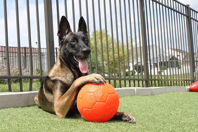 Jolly Pets Large Soccer Ball Floating-Bouncing Dog Toy, 8 inch Diameter, Orange | Large 8 inch durable dog soccer ball for dogs 60 to 90 lbs, won't deflate when punctured, floats for water play, made in USA