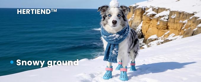 Dog Shoes for Hot Pavement - Comfortable Paw Protection for Medium & Large Dogs, Adjustable Strap & Non-Slip, Easy-Clean, Outdoor Sports Boots, Dog Booties for Summer Rain (Coastal Blue, M)