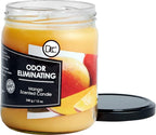 Mango Odor Eliminating Highly Fragranced Candle - Eliminates 95% of Pet, Smoke, Food, and Other Smells Quickly - Up to 80 Hour Burn time - 12 Ounce Premium Soy Blend