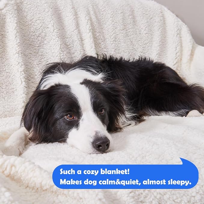 Dog Blankets for Large Dogs - Waterproof Cat Blanket Washable - Sherpa Fleece Puppy Blanket, Soft Plush Reversible Throw Protector for Bed Couch Car Sofa, 60"X80", Taupe