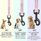 Dogline Biothane Waterproof Dog Leash Strong Coated Nylon Webbing with Black Hardware Odor-Proof Easy to Clean High Performance for Small or Large Dogs Made in USA 4 or 6 ft Lead, Pastel Purple