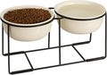 Ceramic Elevated Dog Bowl Set - Raised Double Feeding Bowls with Metal Stand - Pet Dishes for Medium and Large Dogs - 5.8 Cups - 47.3 fl oz - Beige