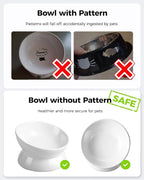 LoeJan Elevated Cat Food Bowl, 5 Oz Ceramic Raised and Tilted Water Bowl, Anti Vomiting and Protect Pets' Spines Dishes for Small Dog, Fat Faced Cat, Kitten (White, 1 Pack)