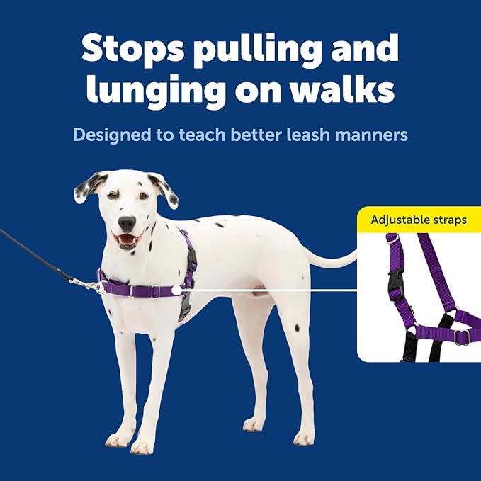 PetSafe Easy Walk Harness for Dogs - Pull-Free Walks - Patented Martingale Loop Design - Front Chest Leash Attachment - Comfort Straps - Breathable Harness Design - Medium/Large, Black/Silver