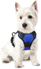 rabbitgoo Dog Harness, No Pull for Small Dogs with 2 Leash Clips, Pet Vest | No Choke with Handle, Adjustable Soft Padded, Reflective, Easy Control for Walking, Dazzling Blue, X-Small