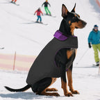 ASENKU Reversible Dog Winter Coat, Dog Jacket for Small Medium Large Dogs | Windproof Plaid Fleece Lining for Cold Weather, Water-resistant Outer Shell, Puppy Puffer Vest with Leash Hole, Purple 2XL