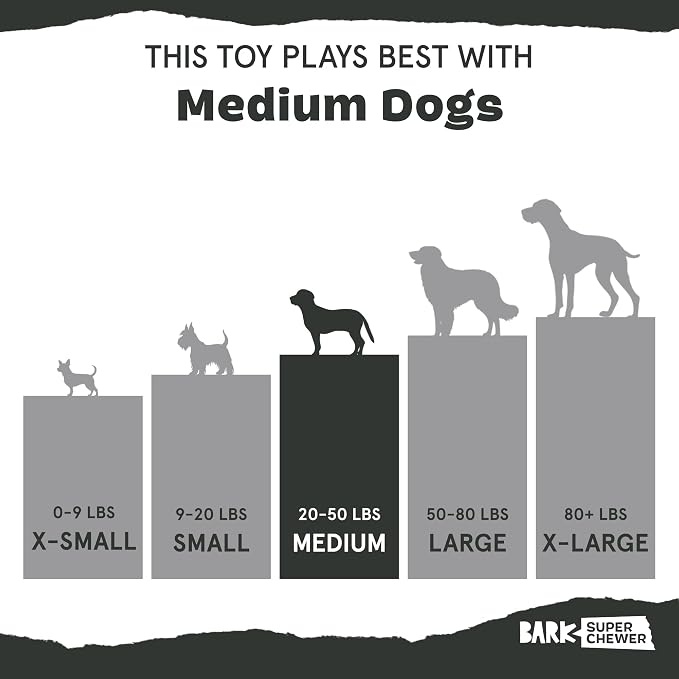 BarkBox Crocness Monster Dog Toy - for Medium Dogs | Beef-Scented, Perfect for Tough Chewers to Grab, Grip, and Chew for Endless Fun