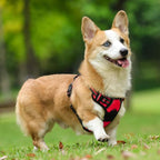 rabbitgoo Dog Harness, No Pull Medium Sized with 2 Leash Clips, Pet Vest | No Choke with Handle, Adjustable Soft Padded, Reflective, Easy Control for Walking, Red, Medium